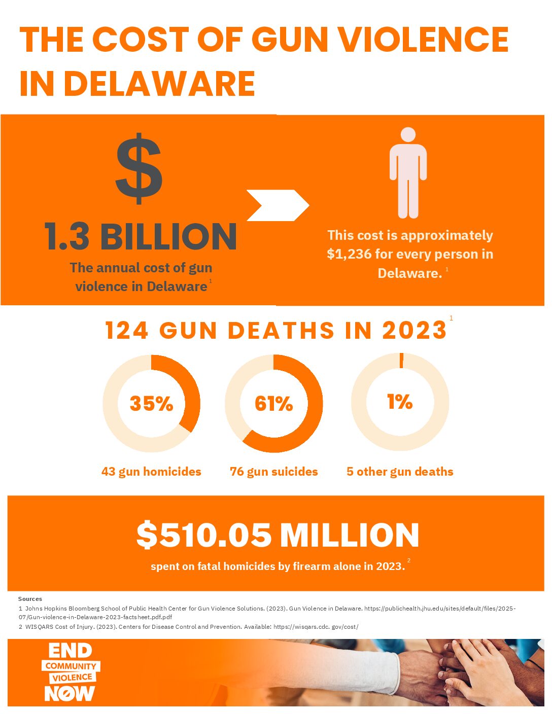 Cost of Gun Violence in Delaware infographic listing the annual cost of gun violence, number of deaths,and how ECVN can reduce violence